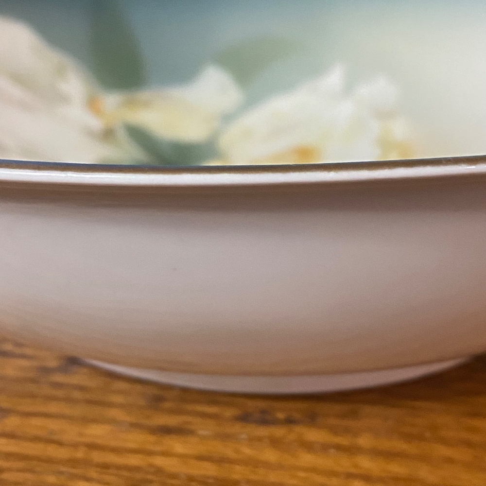 RS Silesia Germany Gold Gilt Hand Painted Tulip Porcelain Bowl c.1920s 9" - Picture 10 of 16